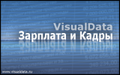 VisualData Зарплата и кадры